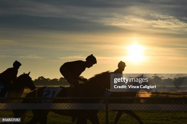 United Kingdom horses Fastnet Tempest, Mask of Time and Wall of Fire during a trackwork session at Werribee Racecourse on October 3, 2017 in...