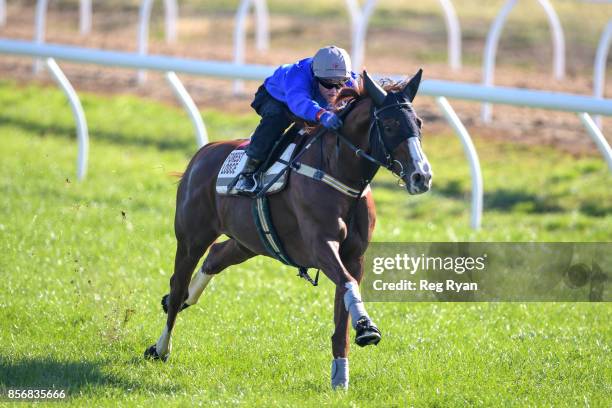 Craig Williams on Admire Deus at Werribee Racecourse on October 03, 2017 in Werribee, Australia.