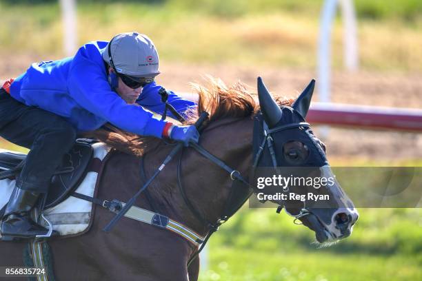 Craig Williams on Admire Deus at Werribee Racecourse on October 03, 2017 in Werribee, Australia.