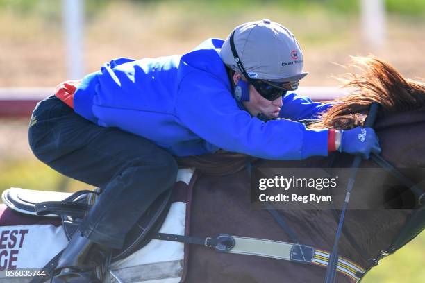 Craig Williams on Admire Deus at Werribee Racecourse on October 03, 2017 in Werribee, Australia.