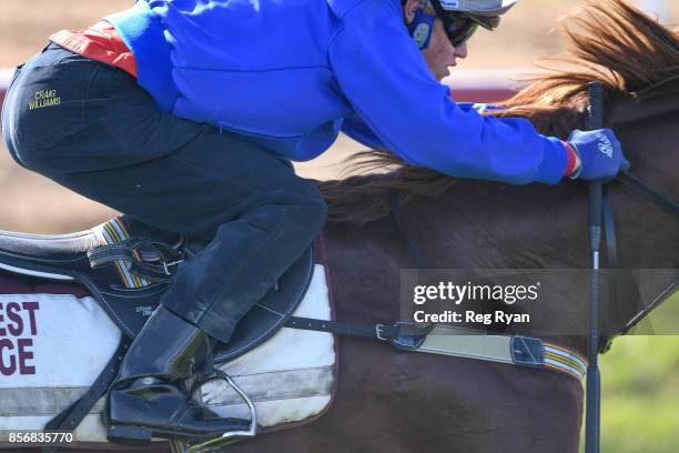 Craig Williams on Admire Deus at Werribee Racecourse on October 03, 2017 in Werribee, Australia.