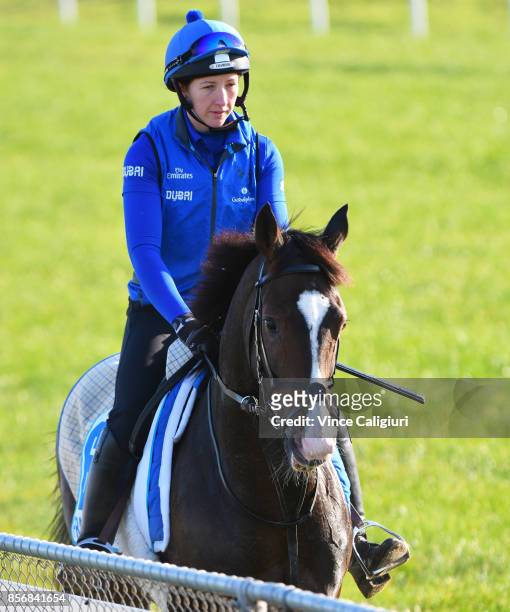 Charlie Appleby trained horse Francis of Assisi during a trackwork session at Werribee Racecourse on October 3, 2017 in Melbourne, Australia.