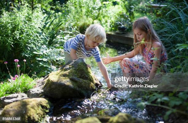 brother and sister playing by a stream in the garden - children only 個照片及圖片檔