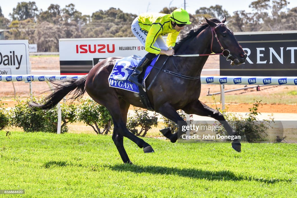 Euston Club Resort Maiden Plate