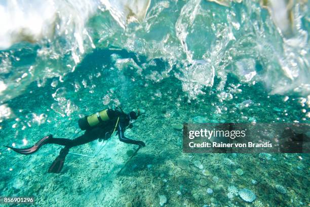 biologo marino sotto mari agitati - indagini di clima foto e immagini stock