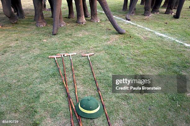 Elephant polo sticks and a helmet lie next to the feet and trunks of the elephants at the King's Cup Elephant Polo at the Anantara Golden Triangle...