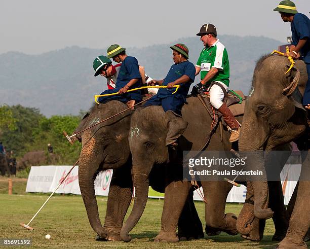 Elephant polo players compete in the finals of the King's Cup Elephant Polo at the Anantara Golden Triangle Resort & Spa March 29, 2009 in Chiang...