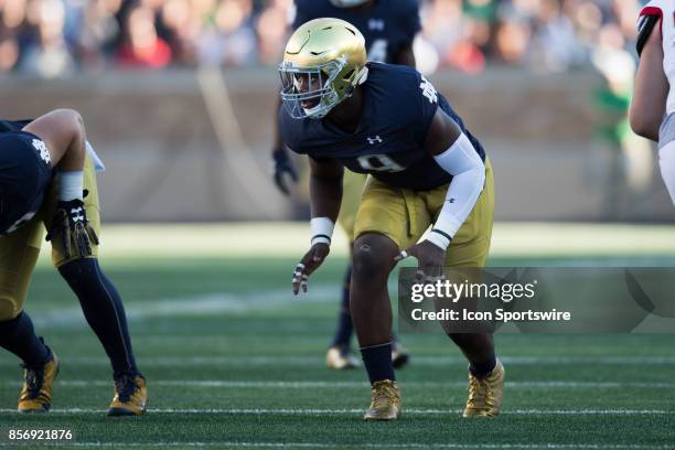 Notre Dame Fighting Irish defensive lineman Daelin Hayes looks into the offensive backfield before the snap during the college football game between...