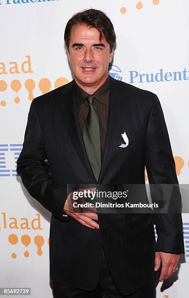 Actor Chris Noth attends the 20th Annual GLAAD Media Awards at Marriott Marquis on March 28, 2009 in New York City.