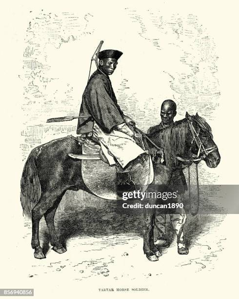 tartar house soldier - tartar sauce stock illustrations