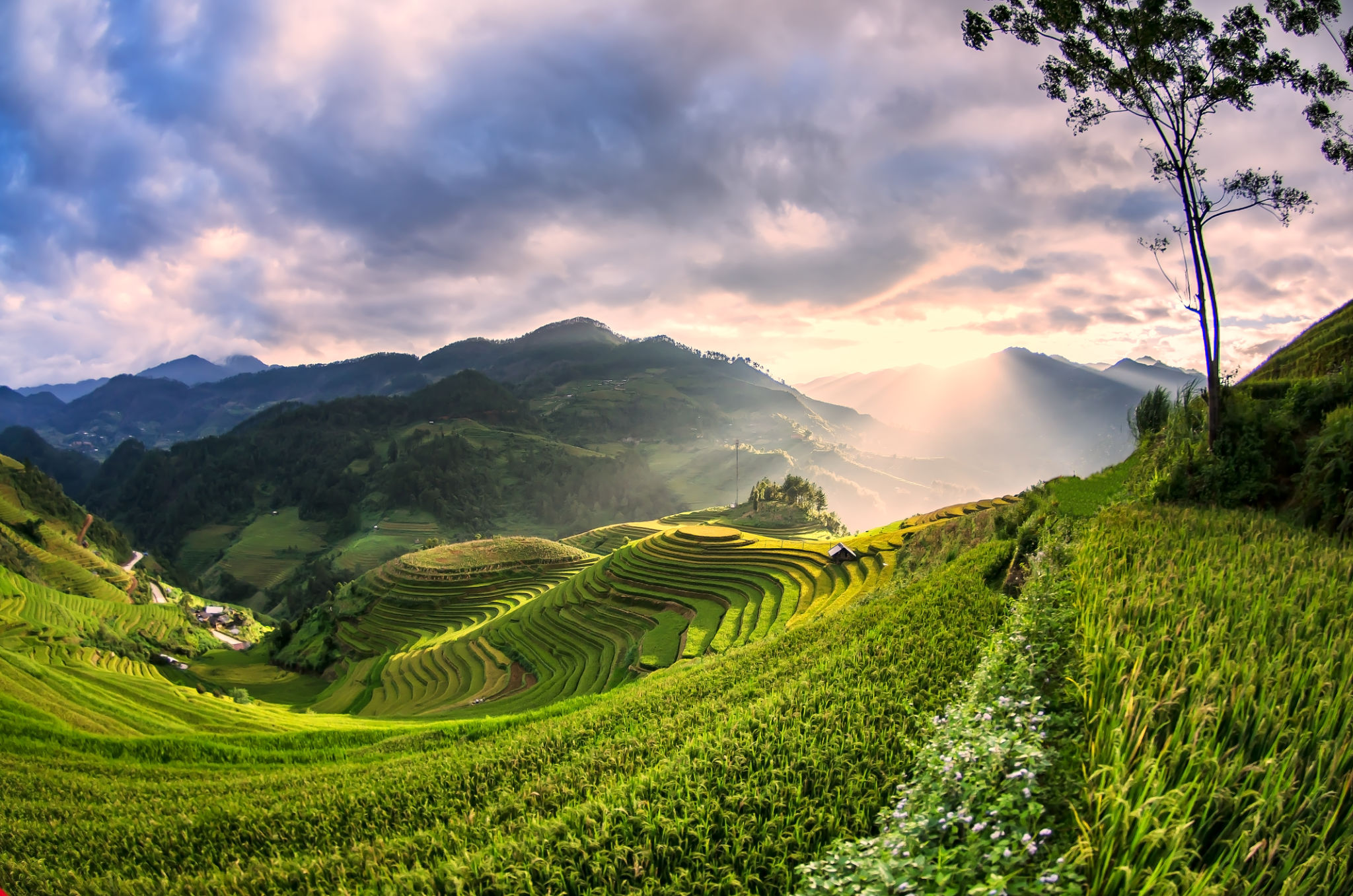 Malaysia landscape