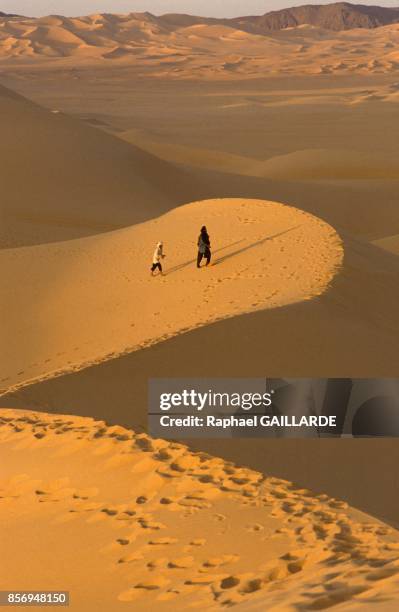 Expedition Lion dans le desert du Tenere le 8 novembre 1990 au Niger.