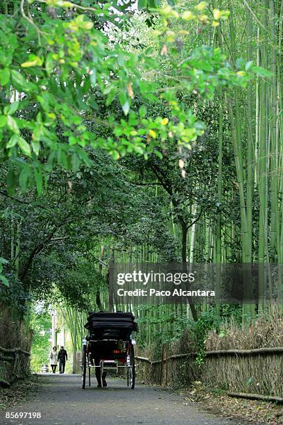 passing through the bamboos - arashiyama stock pictures, royalty-free photos & images