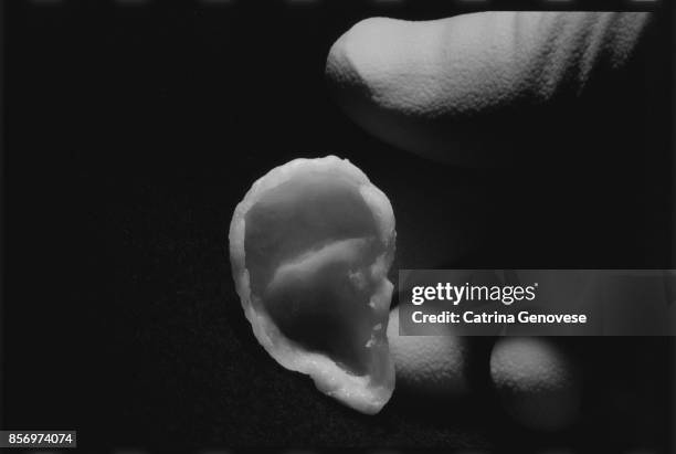 tissue-engineered ear cartilage. - regenerative medicine stockfoto's en -beelden