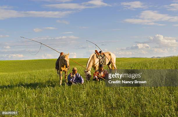 inner mongolia horsemen in grasslands holding uurg - xilinhot stock pictures, royalty-free photos & images