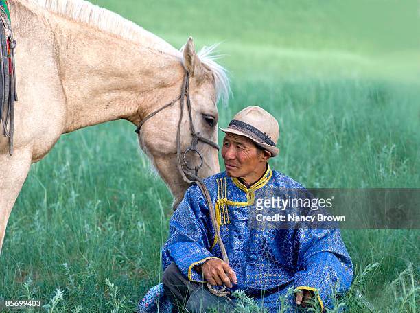 inner mongolia horseman in grasslands - abagnar qi foto e immagini stock