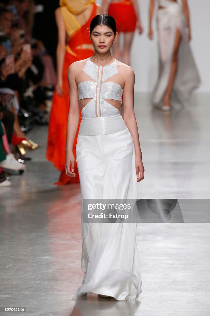 Valentin Yudashkin : Runway - Paris Fashion Week Womenswear Spring/Summer 2018