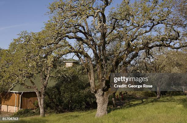 45 photos et images de Silverado Trail Napa Valley