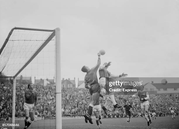 Brighton and Hove Albion vs Millwall: footballer Charley Livesey of Brighton and Hove Albion FC clashes with goalkeeper Alex Stepney of Millwall FC,...