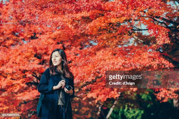 beautiful young woman taking photos in park against red maple in autumn - view at the camera stock pictures, royalty-free photos & images