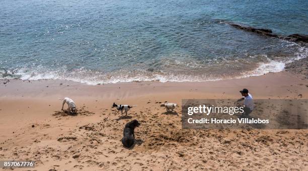 Beachgoer plays with his dogs in Praia do Pescoco do Cavalo on September 17, 2017 in Estoril, Portugal. Although active all year round, Portuguese...