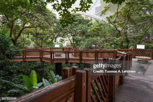 inside the aviary at the hong kong park - zoo stockfoto's en -beelden