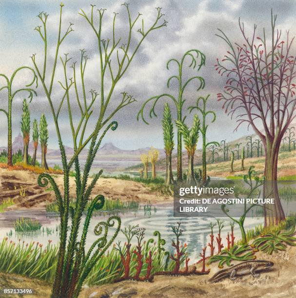 Carboniferous landscape: Asteroxylon, Archaeo-Sigillaria, Pseudosporochnus, Duisbergia, Archaeopteris, Srepanophyeus, Rhynia, Ichthyostega, drawing.