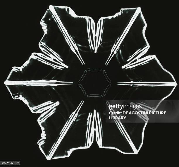 Snowflake Structure Microscope 65 Snowflakes Microscope Stock Photos, High-Res Pictures, and Images ...