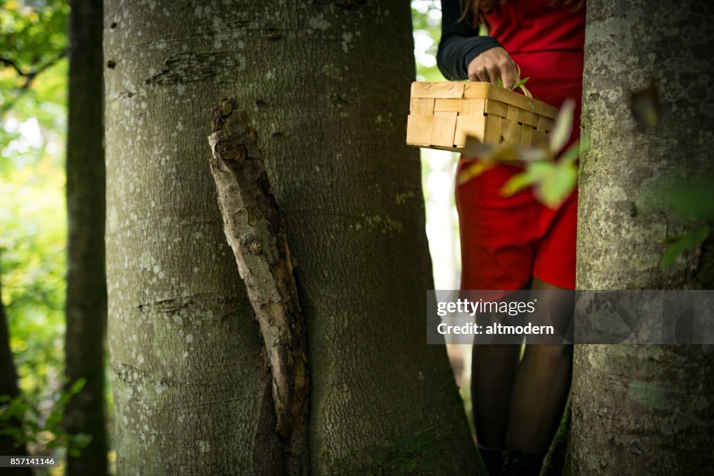 Red riding hood in forest