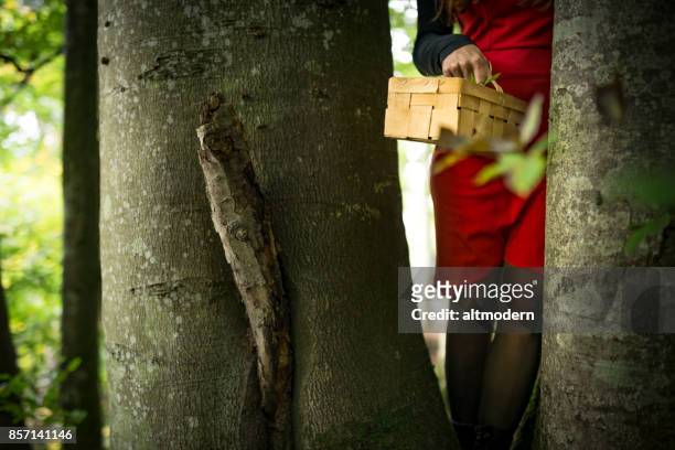 red riding hood in forest - penis humour stock pictures, royalty-free photos & images