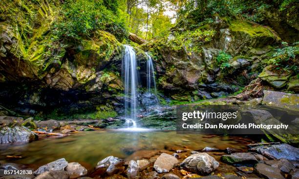 grotto falls. smokey mountain national park-2016 - appalachia stock-fotos und bilder