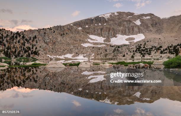 morning reflections in chicken spring lake - wildnisgebiet ansel adams stock-fotos und bilder