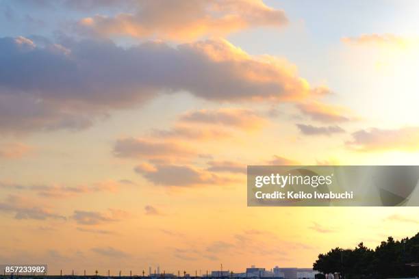 sunset in tokyo - tokyo skyline sunset stock pictures, royalty-free photos & images