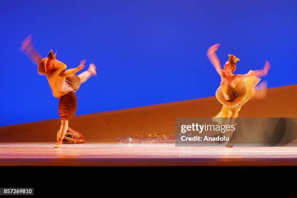 Dancers perform for the full dress rehearsal of "La Belle", a creation by French dancer and choreographer Jean-Christophe Maillot for the Monte-Carlo...