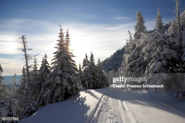 snow trail in stowe, vermont - schlebusch stock pictures, royalty-free photos & images