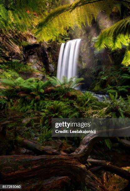 hopetoun falls in great otway national park - aire river stock pictures, royalty-free photos & images