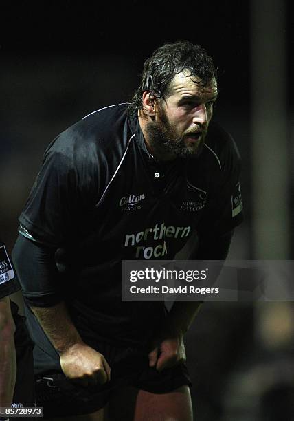 Carl Heyman of Newcastle pictured during the Guinness Premiership match between Newcastle Falcons and Leicester Tigers at Kingston Park on March 27,...