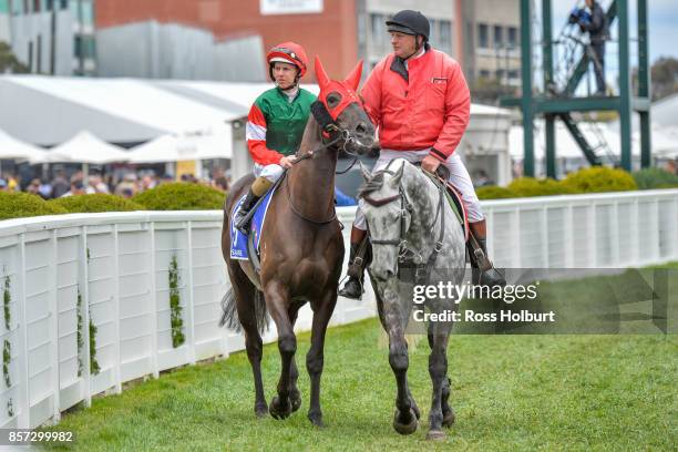 Samovare ridden by Damian Lane before the Hyland Race Colours Underwood Stakes at Caulfield Racecourse on October 01, 2017 in Caulfield, Australia.