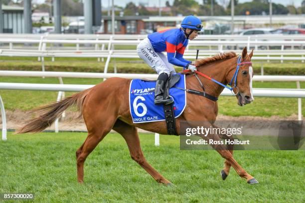 Single Gaze ridden by Kathy O'Hara before the Hyland Race Colours Underwood Stakes at Caulfield Racecourse on October 01, 2017 in Caulfield,...