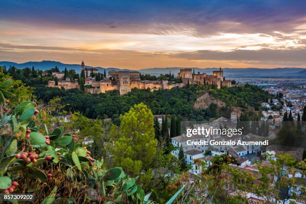 the alhambra and albaicin at granada spain - alhambra spanien bildbanksfoton och bilder