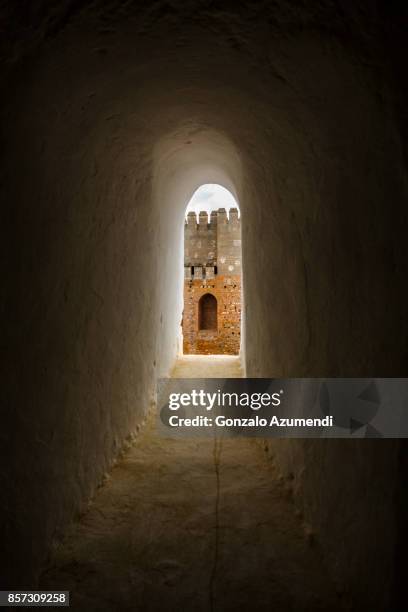 the alhambra at granada spain - alcazaba von alhambra stock-fotos und bilder