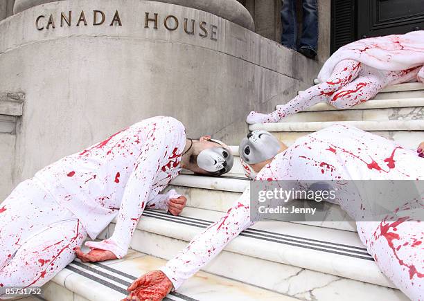 Protesters stage a Die-In against seal hunting with one protester draped in a white fur coat donated by Sex and the City star Kim Cattrall, at Canada...