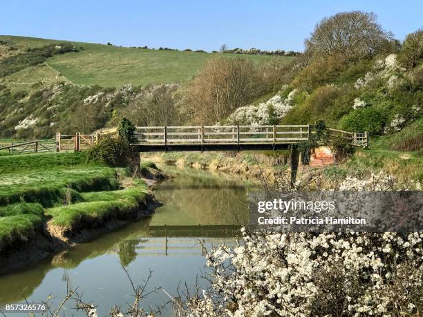 springtime in east sussex, cuckmere river - south downs national park stock pictures, royalty-free photos & images