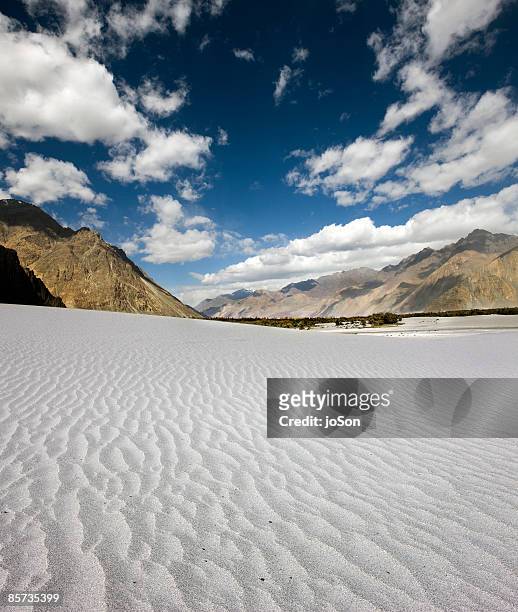 white sand dunes and landscape in nubra valley - nubra valley stock pictures, royalty-free photos & images