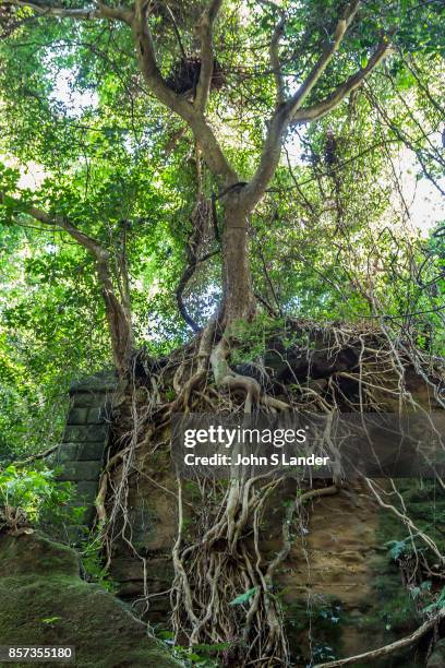 Sarushima Abandoned Ruins - Sarushima is Tokyo Bays only uninhabited and natural island and is full of history. It was once a barrier fortress that...