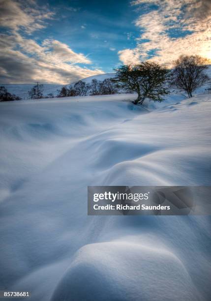 moguls, heavy snow fall - torfaen county borough photos et images de collection