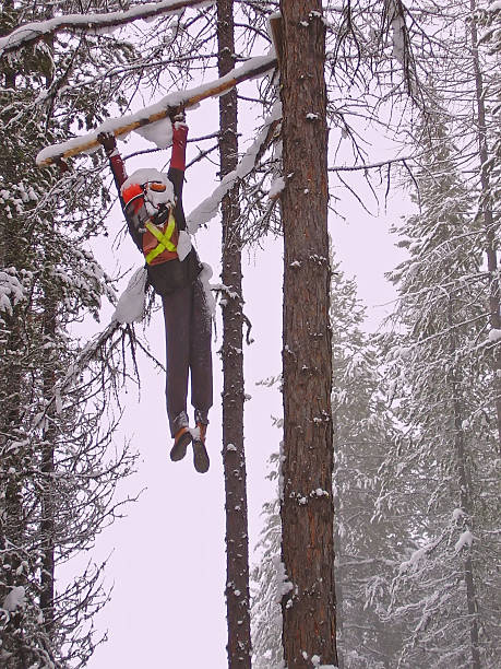 https://media.gettyimages.com/id/85739905/fr/photo/logger-in-a-tree.jpg?s=612x612&w=0&k=20&c=O4w7Y0FEM-kcdWHVq-ANX191ik-NLJDGBeuZpMzp22E=