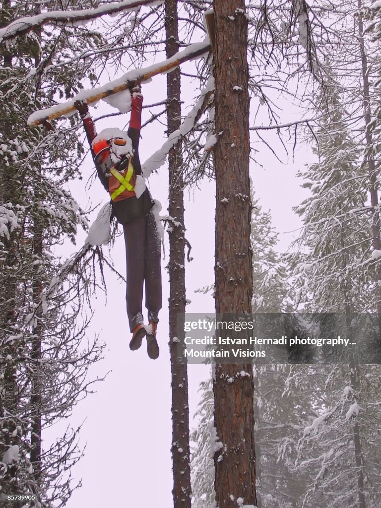 Logger in a tree