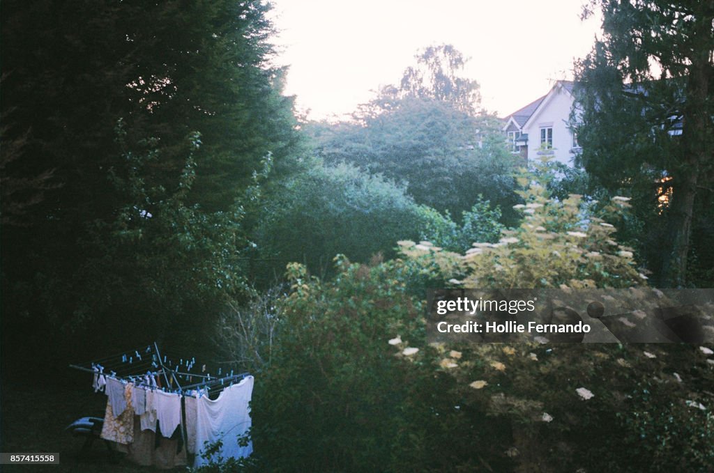 English Garden at Dusk