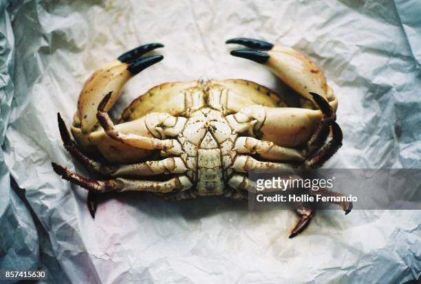 Cooking with Fresh Crab